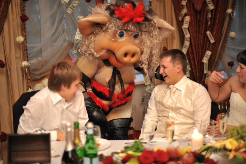 Стриптиз свиньи (Хрюши) на свадьбе в Москве - Шоу Высший Класс
